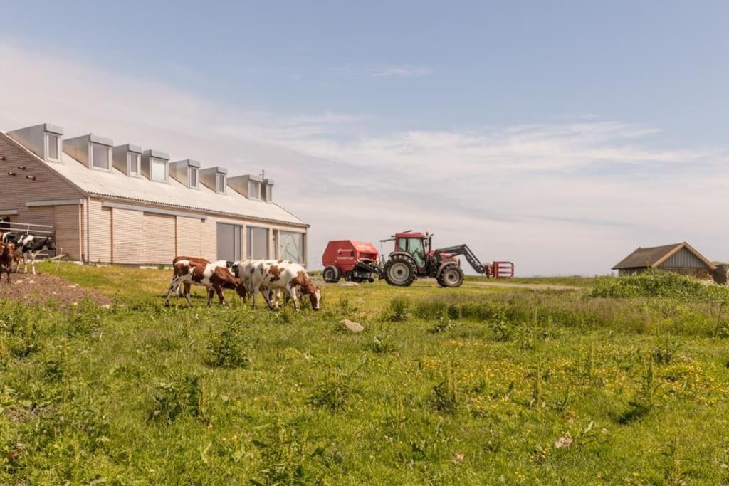 Apartamento The Longhouse At Lista Farsund Exterior foto